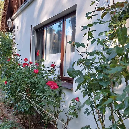 بيت للعطل Ferienwohnung Zwischen Deich Und Duene ديارهاجين